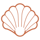 The Shell