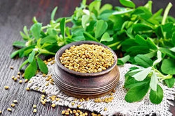 Fenugreek (Methi)